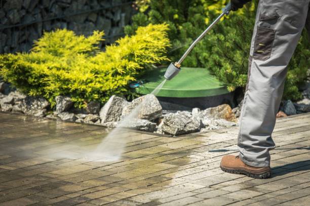 Best Spring Cleaning  in Sa Loma, CA